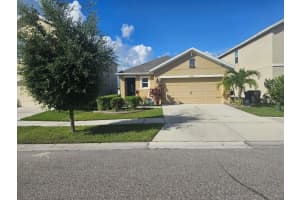 10116 Mangrove Well Rd, SUN CITY CENTER