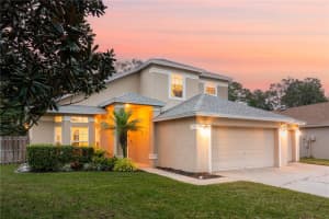11107 Indian Oaks Dr, TAMPA