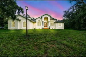 9824 BRANTLEY ROAD, LITHIA, FL 33547 - MLS#MFRTB8405923