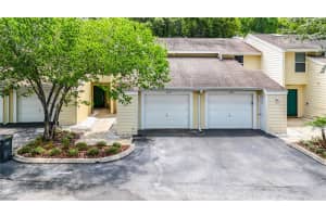 11237 Cedar Hollow Ln, TAMPA