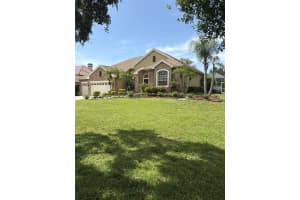 12532 Twin Branch Acres Rd, TAMPA
