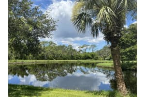 12532 TWIN BRANCH ACRES ROAD, TAMPA, FL 33626 - MLS#MFRTB8405969