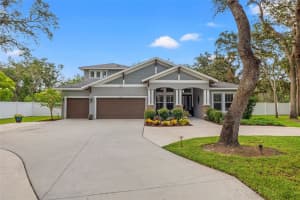 2420 CLEMENT ROAD, LUTZ, FL 33549 - MLS#MFRTB8405996