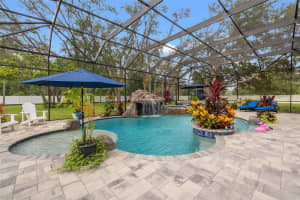 2420 CLEMENT ROAD, LUTZ, FL 33549 - MLS#MFRTB8405996