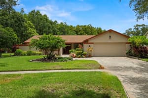 4208 Carrollwood Village Dr, TAMPA