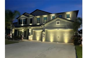 11425 LELAND GROVES DRIVE, RIVERVIEW, FL 33579 - MLS#MFRTB8406085