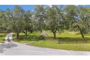 12541 LITTLE PETE, HUDSON, FL 34669 - MLS#MFRTB8406089