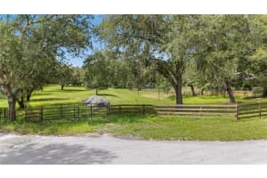 12541 LITTLE PETE, HUDSON, FL 34669 - MLS#MFRTB8406089