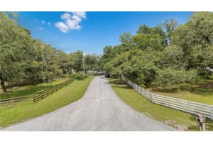 12541 LITTLE PETE, HUDSON, FL 34669 - MLS#MFRTB8406089