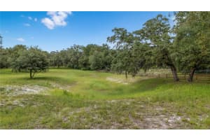 12541 LITTLE PETE, HUDSON, FL 34669 - MLS#MFRTB8406089
