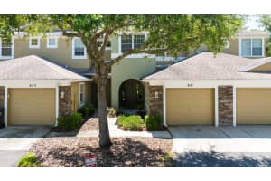 8171 Stone View Dr, TAMPA