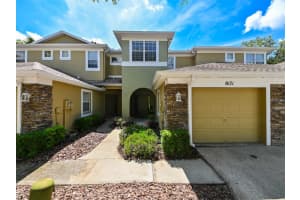 8171 STONE VIEW DRIVE, TAMPA, FL 33647 - MLS#MFRTB8406104