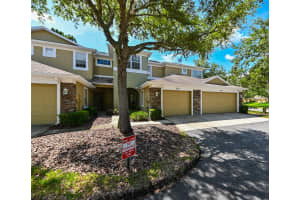 8171 STONE VIEW DRIVE, TAMPA, FL 33647 - MLS#MFRTB8406104