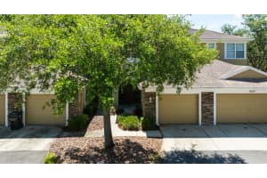8171 STONE VIEW DRIVE, TAMPA, FL 33647 - MLS#MFRTB8406104