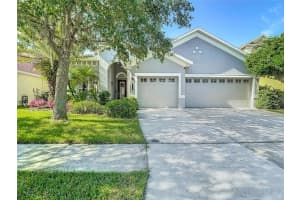 8313 Old Town Dr, TAMPA