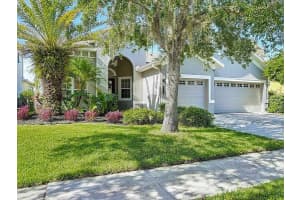 8313 OLD TOWN DRIVE, TAMPA, FL 33647 - MLS#MFRTB8406146