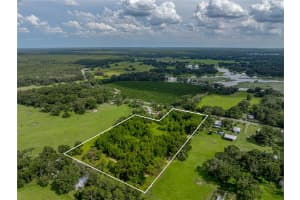 41245 MELROSE AVENUE, ZEPHYRHILLS, FL 33540 - MLS#MFRTB8406154