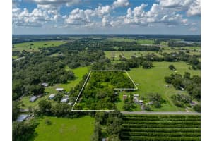41245 MELROSE AVENUE, ZEPHYRHILLS, FL 33540 - MLS#MFRTB8406154
