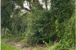 RAGEN ST, NORTH PORT, FL 34287 - MLS#MFRTB8406164