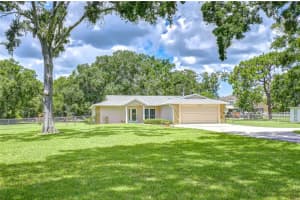 15006 RAILS ROAD, ODESSA, FL 33556 - MLS#MFRTB8406173