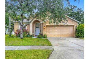 9314 Black Thorn Loop, LAND O LAKES