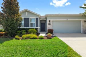 11934 Cross Vine Dr, RIVERVIEW