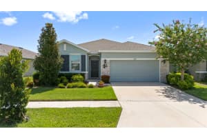 11934 CROSS VINE DRIVE, RIVERVIEW, FL 33579 - MLS#MFRTB8406206