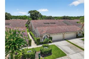 3874 Darston St, PALM HARBOR
