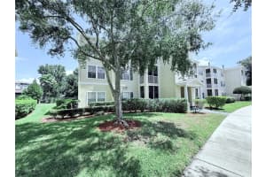 18369 BRIDLE CLUB DRIVE, TAMPA, FL 33647 Sold 08/05/25