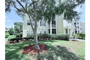 18369 BRIDLE CLUB DRIVE, TAMPA, FL 33647 Sold 08/05/25