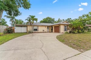 6916 Spanish Moss Cir, TAMPA