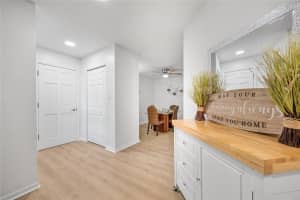 9822 BROWNSTONE DRIVE, TAMPA, FL 33612 Sold 08/21/25
