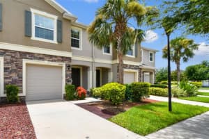 10409 Orchid Mist Ct, RIVERVIEW