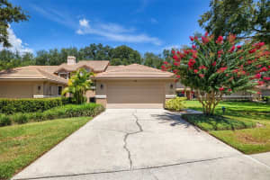 17554 Fairmeadow Dr, TAMPA