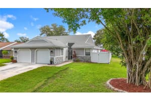 3253 LATANA DRIVE, PALM HARBOR, FL 34684 - MLS#MFRTB8406340