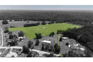 39797 RIVER ROAD, DADE CITY, FL 33525 - MLS#MFRTB8406345