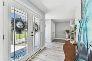 11599 GROVE STREET, SEMINOLE, FL 33772 - MLS#MFRTB8406371