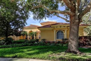 10504 SABELLA DRIVE, TRINITY, FL 34655 - MLS#MFRTB8406373