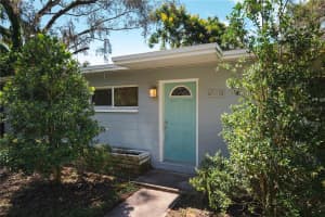 305 BELLE VIEW AVENUE, TEMPLE TERRACE, FL 33617 - MLS#MFRTB8406375