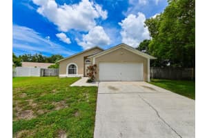 11114 Windpoint Dr, TAMPA