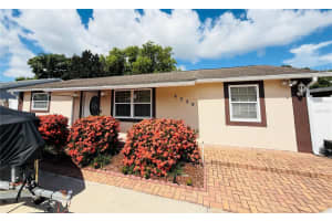 4239 Cardoon Dr, NEW PORT RICHEY