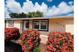4239 CARDOON DRIVE, NEW PORT RICHEY, FL 34653 - MLS#MFRTB8406443