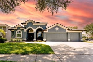 4217 BALINGTON DRIVE, VALRICO, FL 33596 Sold 08/11/25