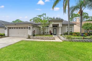 10208 Thicket Point Way, TAMPA