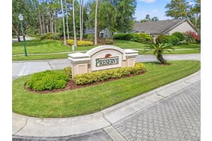10208 THICKET POINT WAY, TAMPA, FL 33647 - MLS#MFRTB8406493