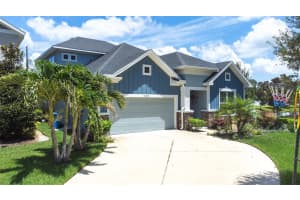 16405 LUCIA GARDENS LANE, TAMPA, FL 33625 - MLS#MFRTB8406496