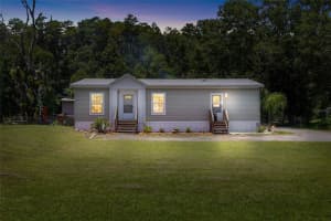 6415 MANGROVE DRIVE, WESLEY CHAPEL, FL 33544 - MLS#MFRTB8406497