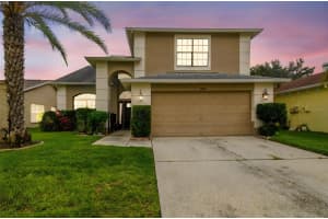 11605 Branch Mooring Dr, TAMPA