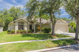 9418 Azalea Ridge Cir, TAMPA