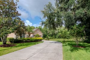 9401 Greenpointe Dr, TAMPA